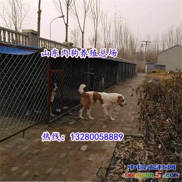 QQ截圖20180225173016