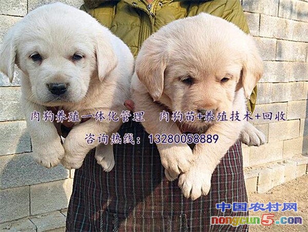 QQ截圖20180225173116