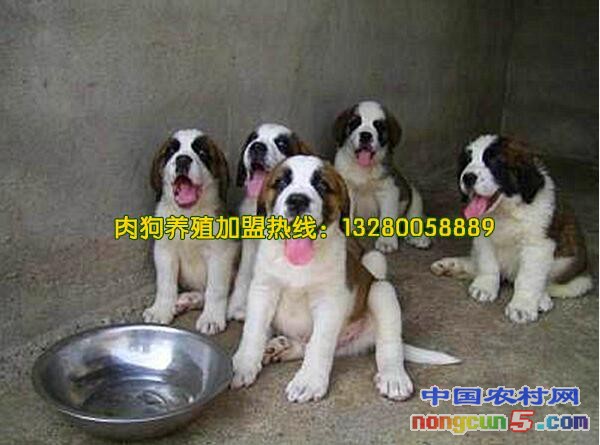 QQ截圖20180225173335