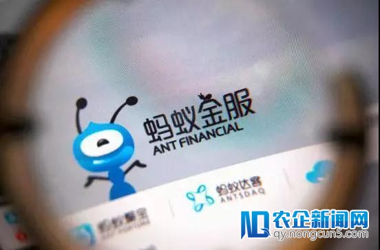 你们想多了，蚂蚁金服基本不焦急上市