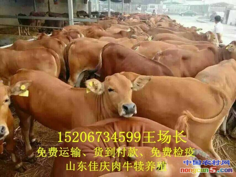 QQ圖片20170401170001