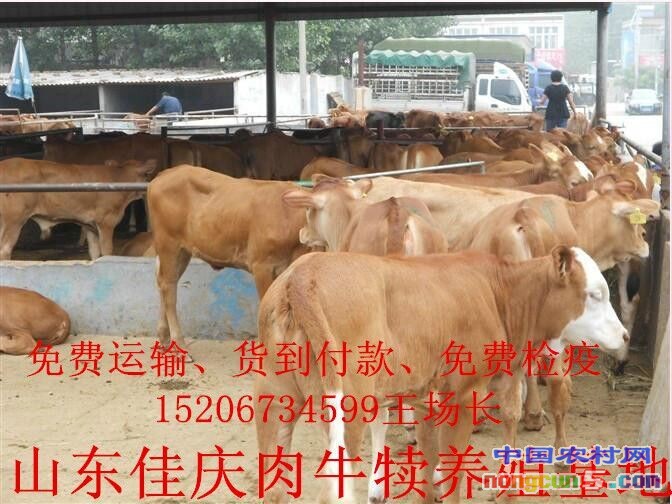 QQ圖片20170401170023