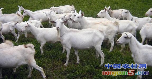 2345_image_file_copy_1 - 副本