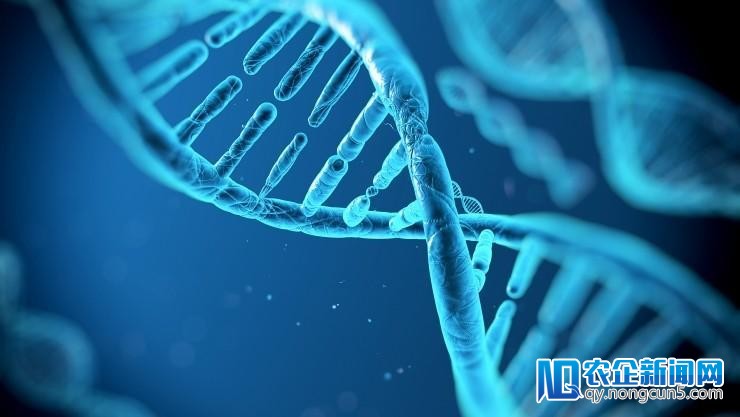 微软发布云端基因效劳，推进 AI 驱动的