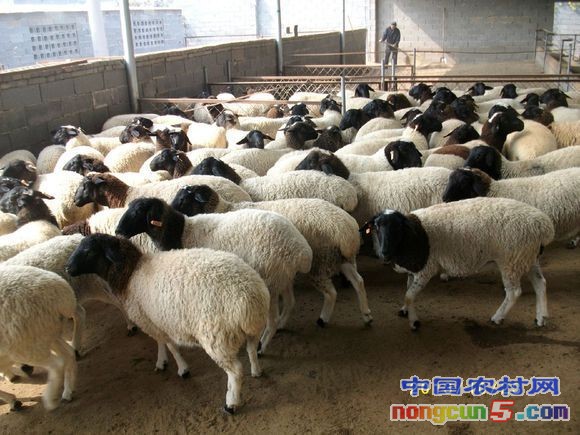 8CDA9D03FDEEADDF28B418A0829A1AF2 - 副本