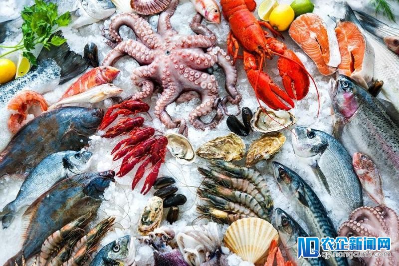 生鲜农产品冷链如何做到离消费者更近？