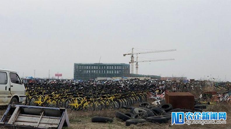 看望南京共享单车“死城”：没有牌照一