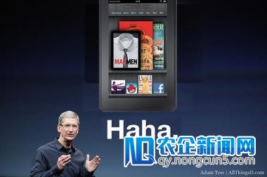门庭热闹：Kindle Fire出货量何以由480