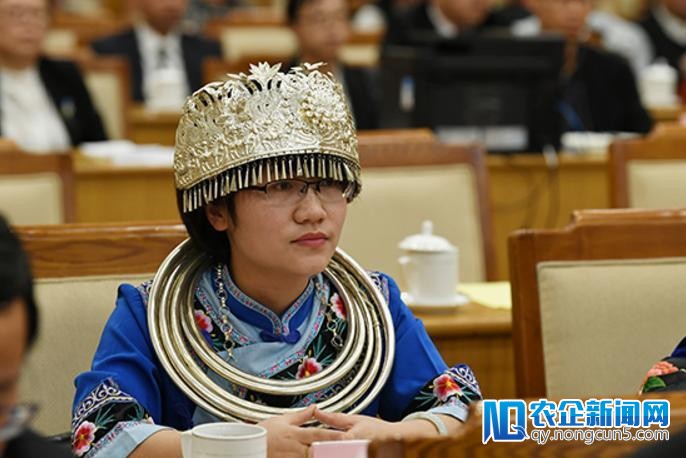 两会来了“村淘”代表，乡村电商已成为