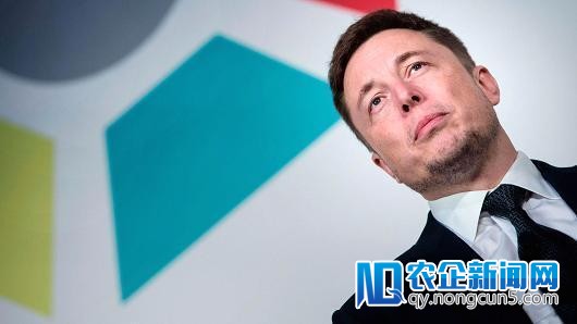 大摩担忧特斯拉会受亚马逊负面影响 重