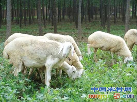 2345_image_file_copy_7 - 副本