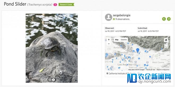 谷歌发布：大型物种分类竞赛Naturalist