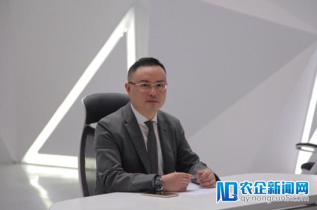 金立回应称正在洽谈融资 海信入股纯属