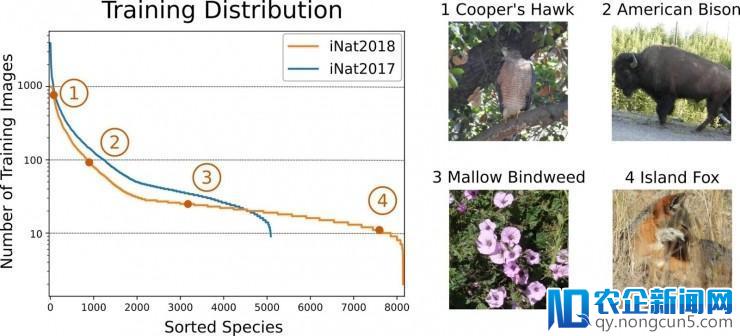 谷歌发布：大型物种分类竞赛Naturalist 2018开启报名！