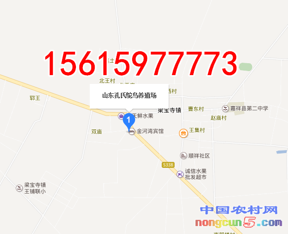 `$}CH7IC)N34SS}K0Z289T5_副本