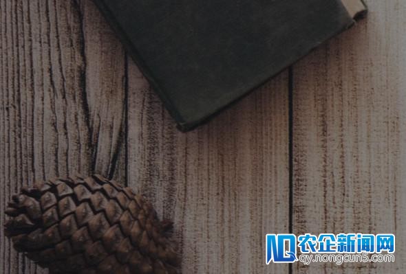 Kaggle 图像辨认新赛来袭，还有一家中