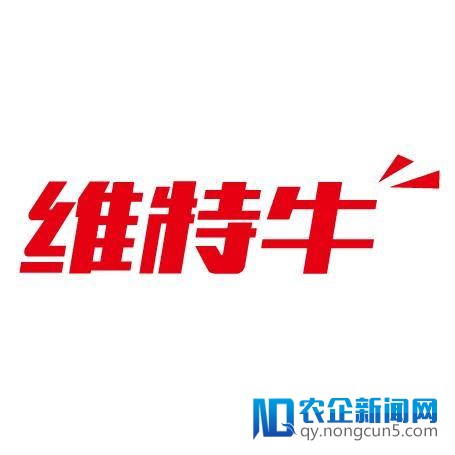 315特辑 | 职业打假人的暗黑江湖
