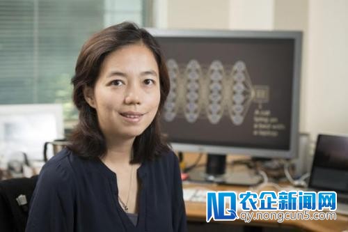 李飞飞：“以人为本的AI”才是邪道