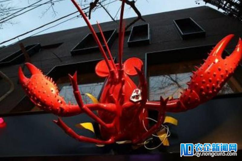 “卷福”关店清算：2000万一年打水漂，