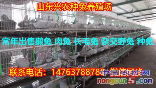 t01e51bcb6001c75cf3_副本