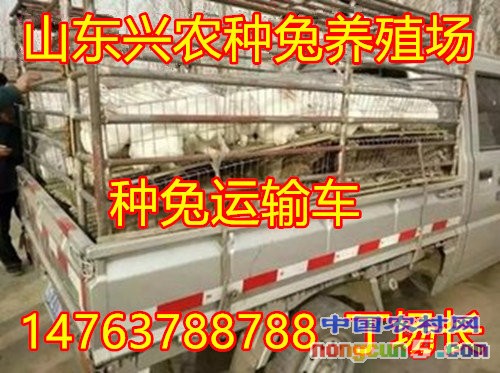 t019be2f97a31ed1e02_副本