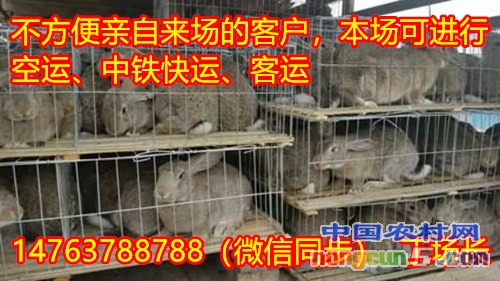 t01467f30af2359a266_副本