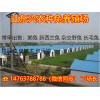 肉兔比利時雜交野兔種兔價格多少錢一只