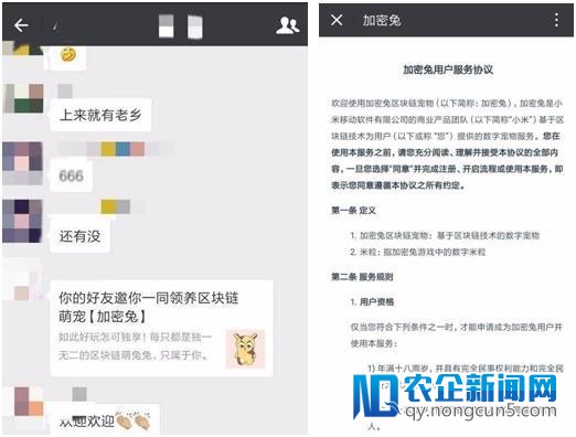 雷军进军区块链 小米疑似内测数字宠物&