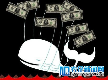 扶摇直上：打破VC纪录，NEA接近完成募