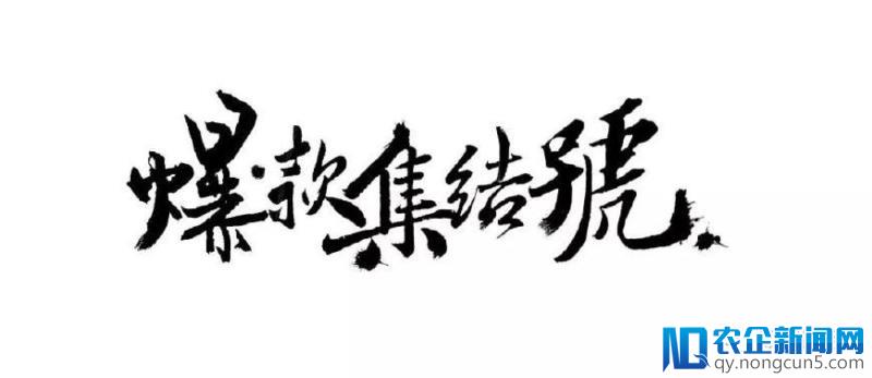 逐爆款、投数亿、倚商业、靠平台，网综的最好时代？