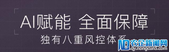 雷·达里奥：企业之间的差异，其实就是算法的差异