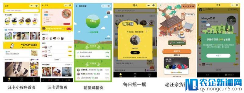 汪卡小程序：由宠物社交切入宠物后市场，会是中国版的Wag吗