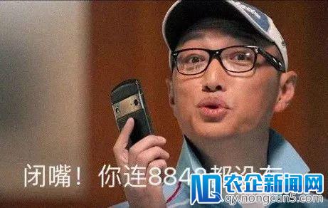 当你嘲笑8848时，8848也在嘲笑你