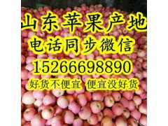 春季庫存紅富士蘋果批發(fā)價格