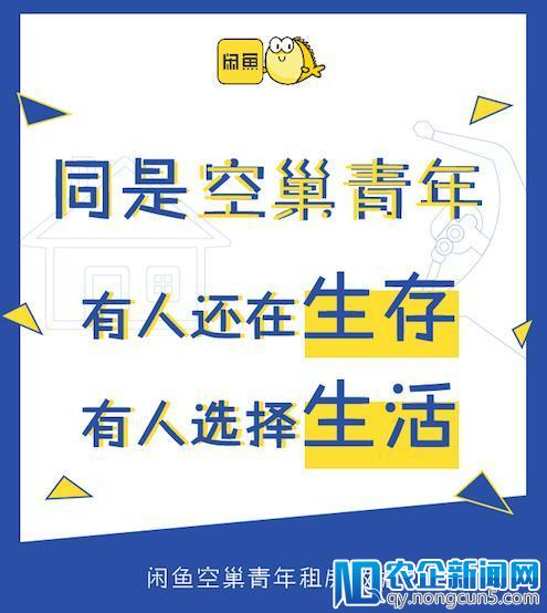 闲鱼租房数据：半数空巢青年只租住一个单间，有人还在生存，有人选择生活-天下网商-赋能网商，成就网商