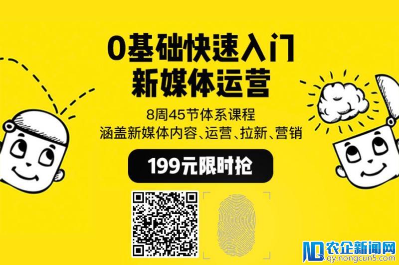 3年赚1000万，咪蒙、罗胖、李叫兽怎么做的？