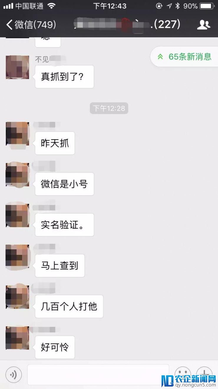 史上最大ICO代投诈骗：带头人“李诗琴”疑跑路，涉案金额高达6000万元