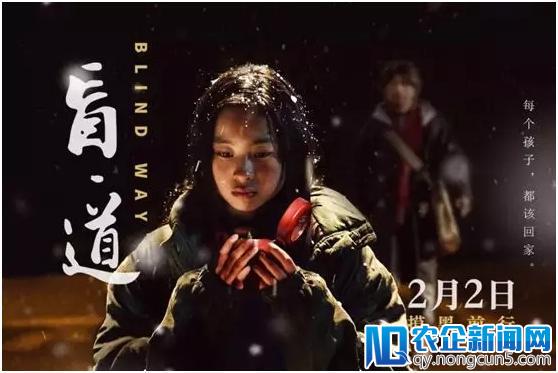 深访《盲道》导演李杨 | 一个被低估的电影大师，抵押房子拍电影，写信致歉影迷，他逆风而行，对得起这个时代