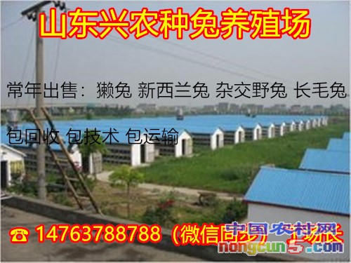 t01e9baeee7ee8d6755_副本