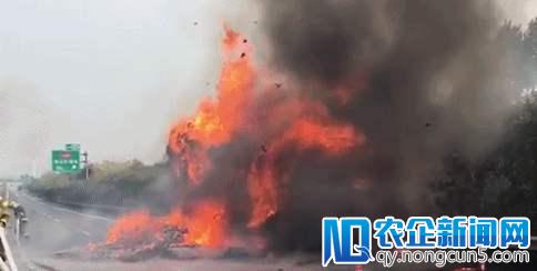 亲，你的电视正在“灼烧”？！