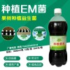 用EM菌液發(fā)酵雞糞便做果樹有機(jī)基肥用的發(fā)酵劑哪里有賣的