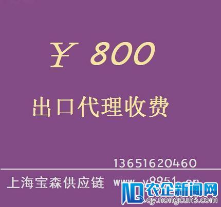 时隔两月,SEE小电铺再获红杉资本领投C+轮融资