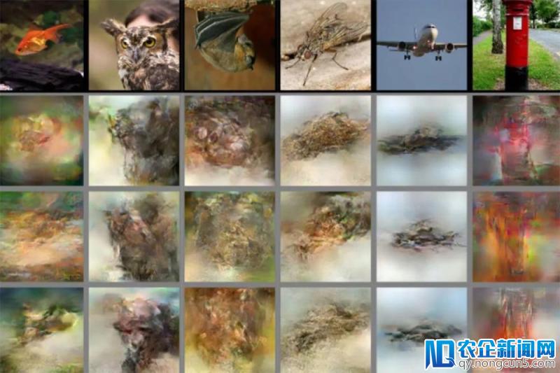 日本科学家的AI读心术：解码脑电波，还原你心中所想