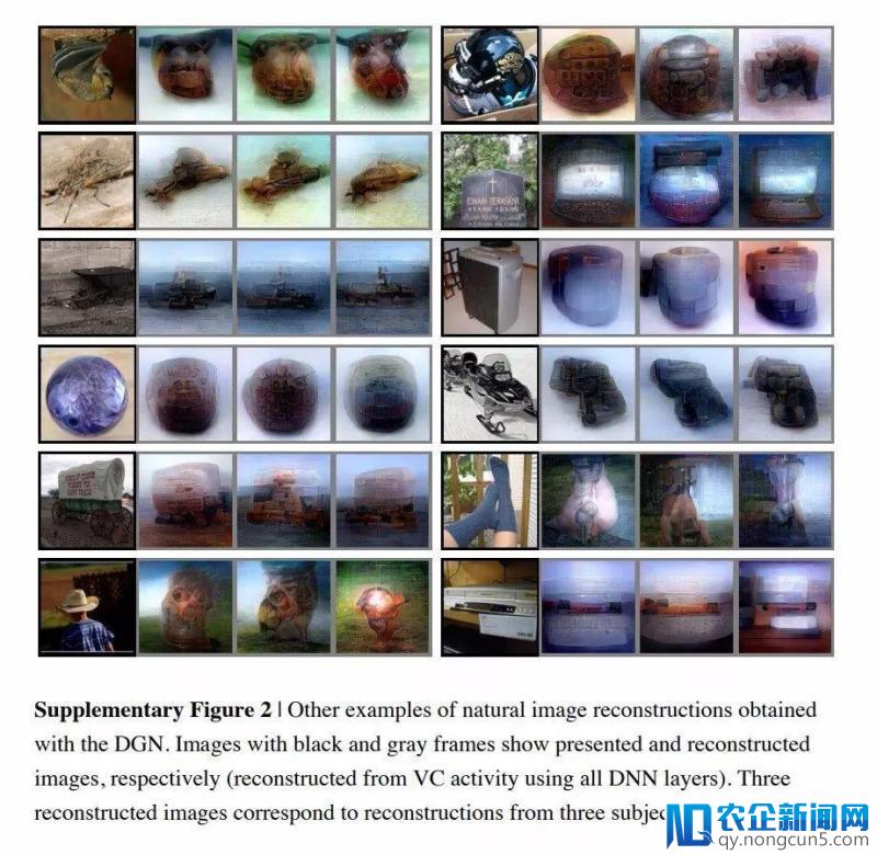 日本科学家的AI读心术：解码脑电波，还原你心中所想