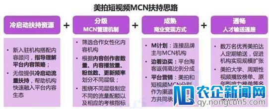 美拍发布短视频MCN白皮书：乱象频生，行业破局点的3点启示