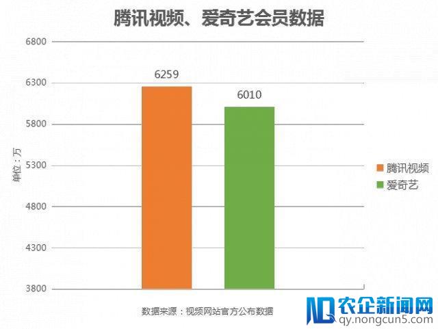 腾讯视频 VS 爱奇艺：上市之前 剩者为王