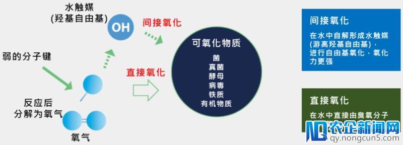 台湾天烨董事长温光汶：国内外的净菜加工环境及趋势