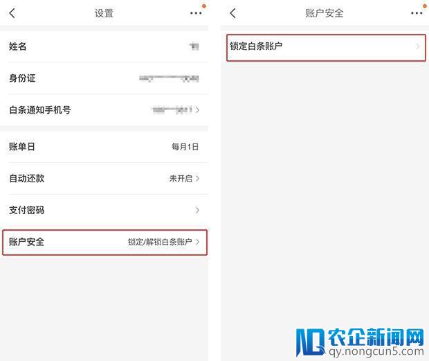 京东白条要上信报了，这些是你应该知道的