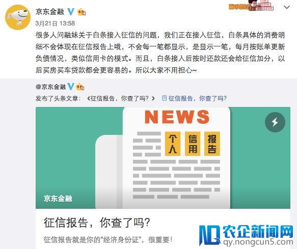 京东白条要上信报了，这些是你应该知道的