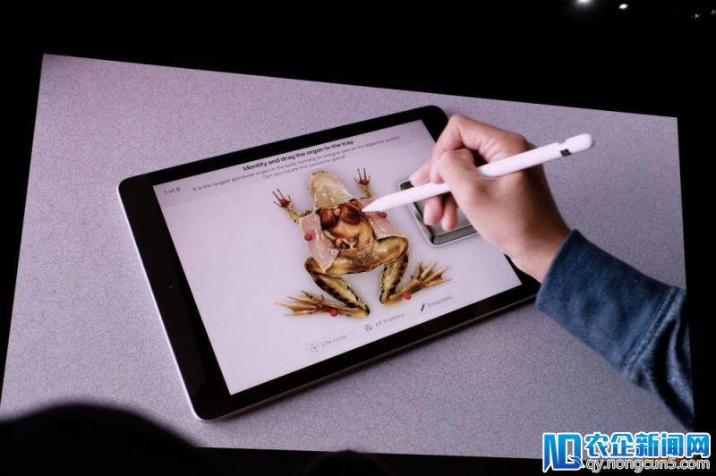 史上性价比最高的 iPad 发布，最低 2388 元起